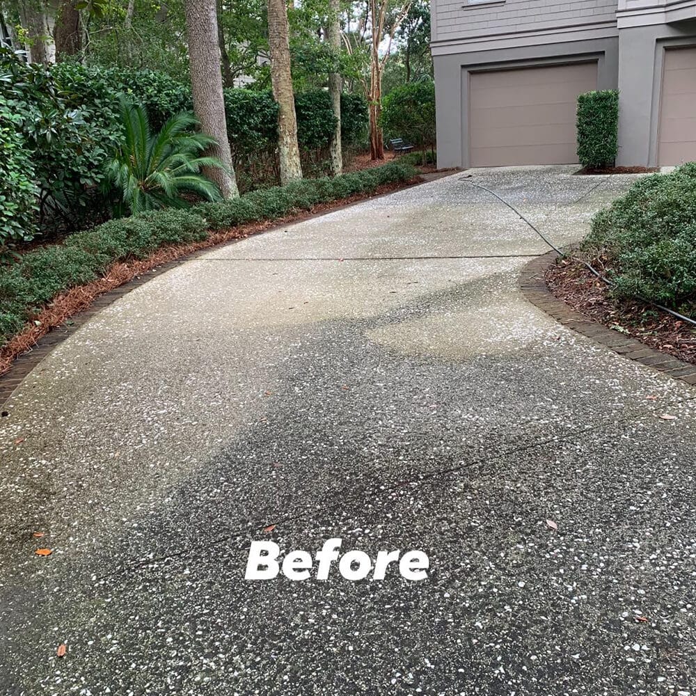 Green algae on a Charleston area driveway before professional cleaning