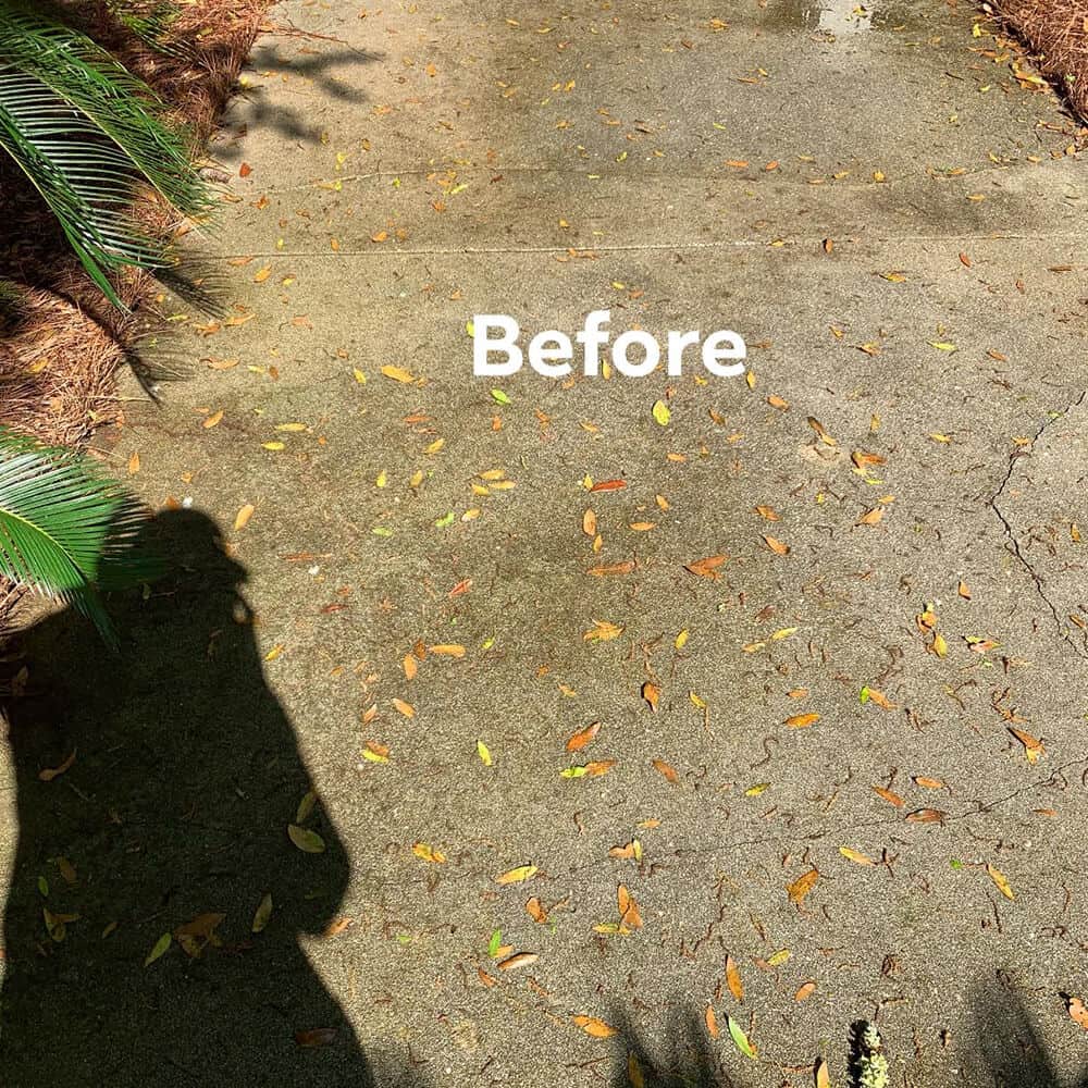 Professional soft wash approach for historic Charleston brick home