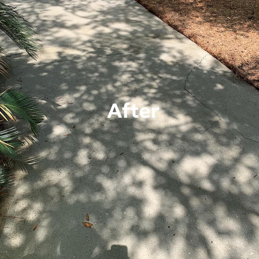 Charleston residential property fully pressure washed and photo-ready for MLS listing
