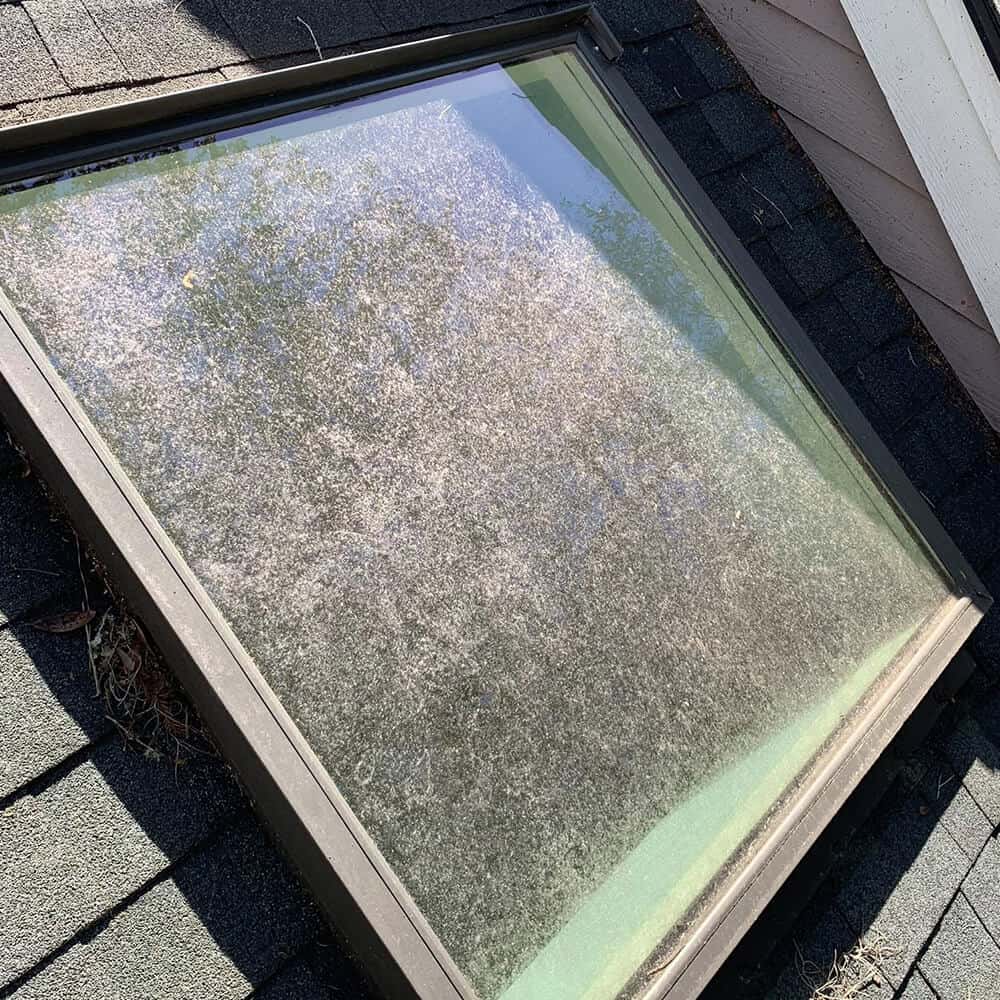 Crystal clear windows on a Charleston home after professional post-storm cleaning